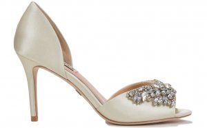 Lord and Taylor evening Shoes